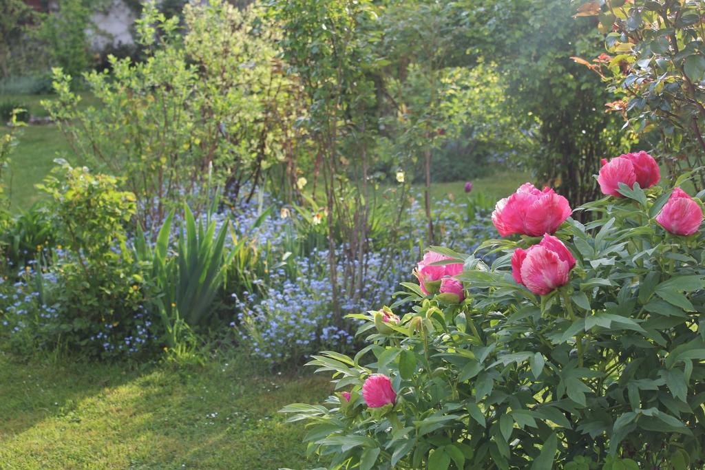 B&B Les Agapanthes Gasny Exterior foto